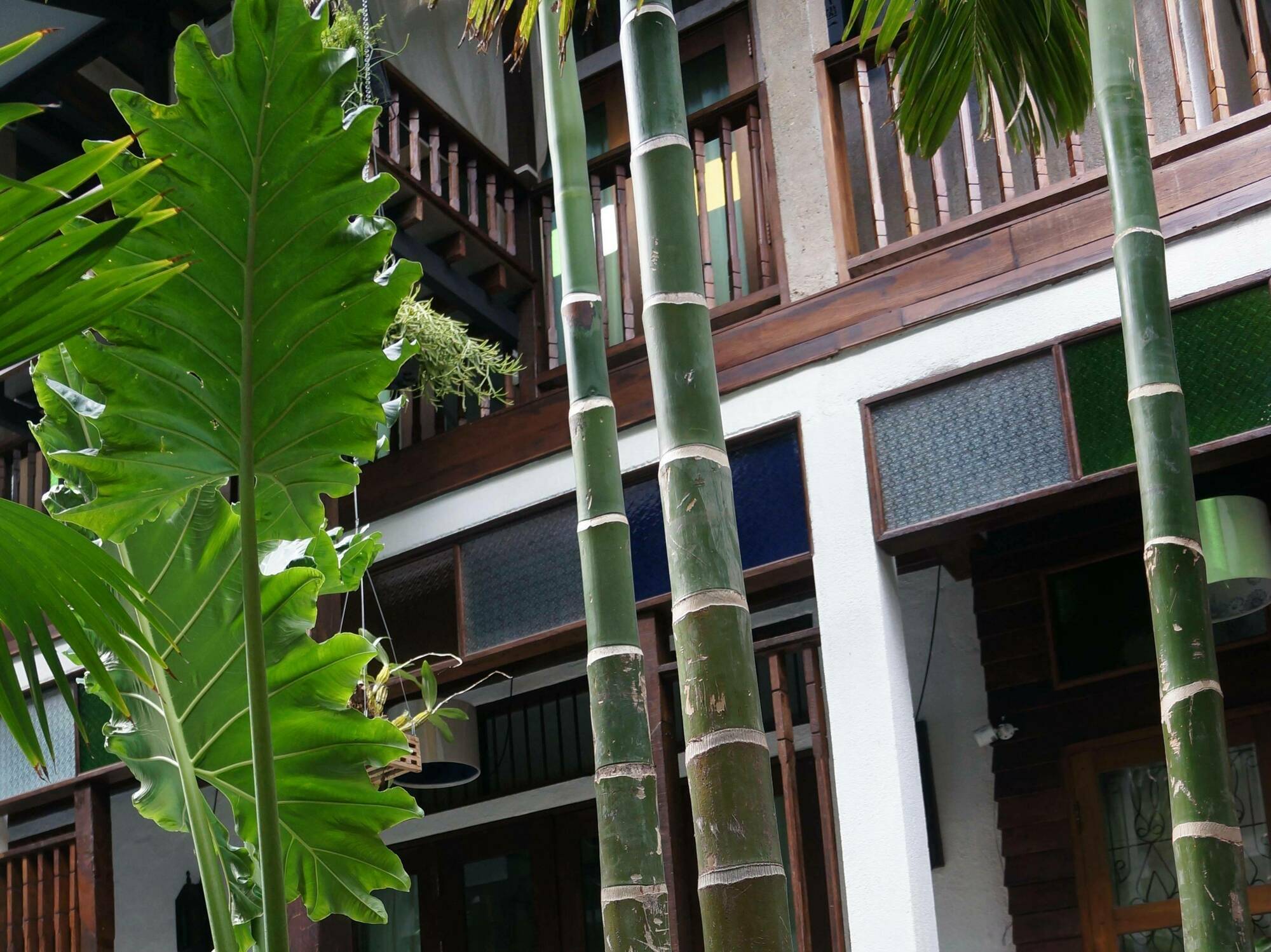 Ban Chang Tong Chiang Mai Eksteriør billede